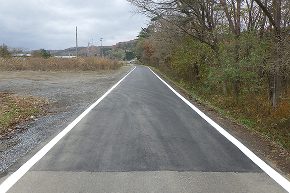 市道葡萄峰線ほか道路舗装工事